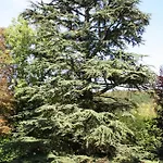 Hotel Belle Isle Sur Risle - Chateau &