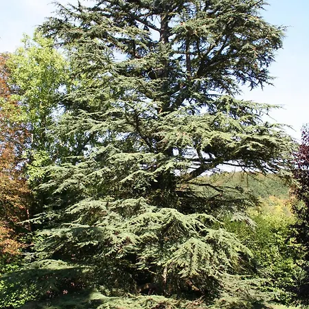 Отель Belle Isle Sur Risle - Chateau &