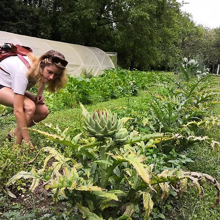 Belle Isle Sur Risle - Chateau & Hotell