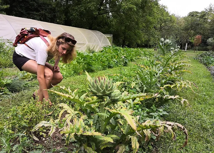 Belle Isle Sur Risle - Chateau & Hotel